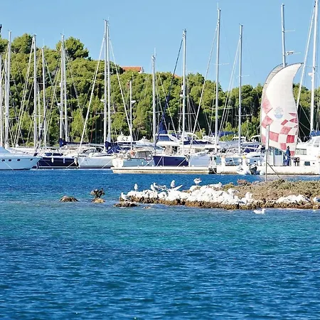 26 With Game * روغوزنيكا