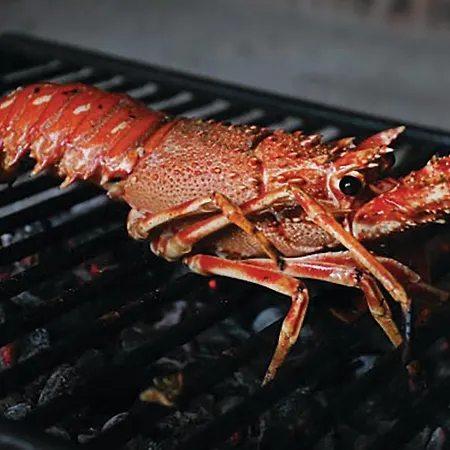 بيت للعطل 26 With Game