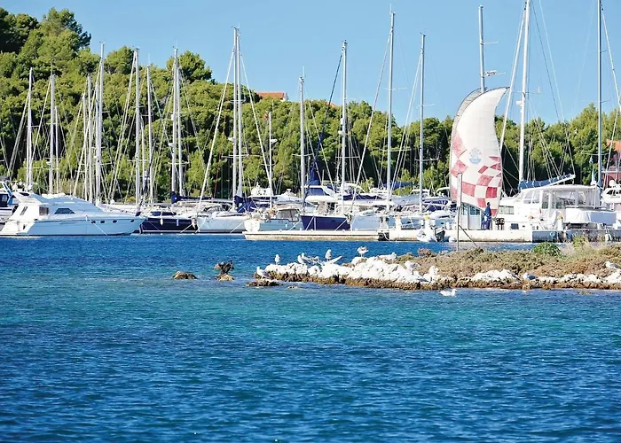 26 With Game * Rogoznica (Sibenik-Knin)