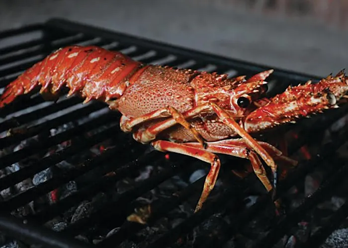 Tatil Evi 26 With Game